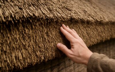 Avoid Costly Damage: How to Safely Handle a Thatch Roof Knock Effectively
