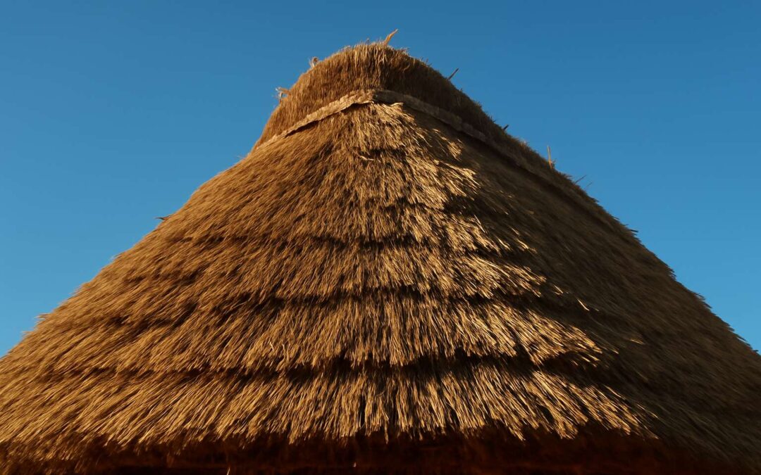 Master the Art of Sustainable Roofing with Expert Tips on Thatching with Straw