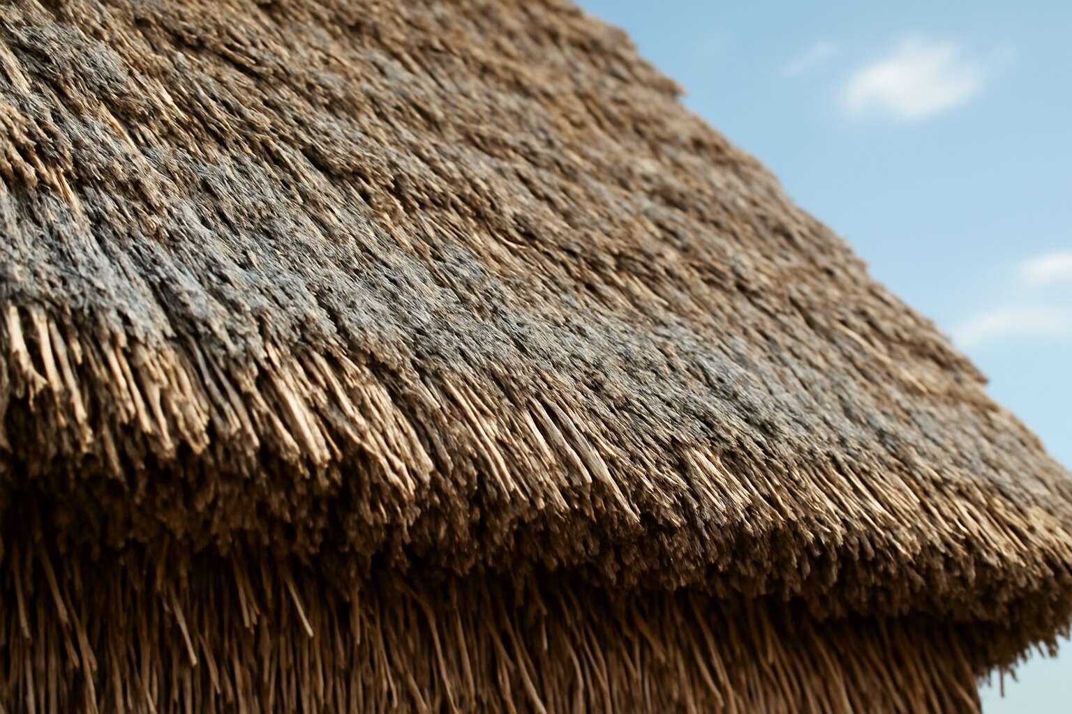Thatch Protection Boost Your Home’s Safety with Effective Thatch Roof Fireproofing ...