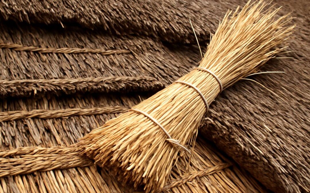 Expert Tips for Quick and Durable Grass Thatch Roof Repairs to Protect Your Home