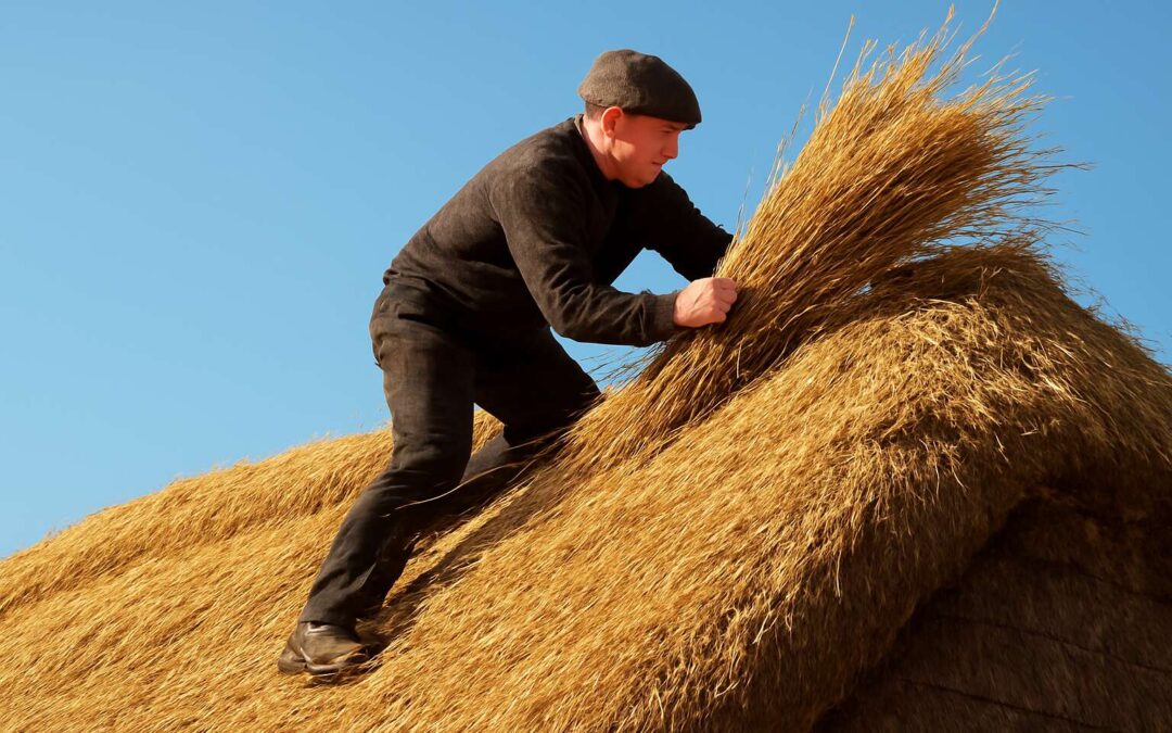 Discover traditional thatching services for enduring roofs and timeless charm.