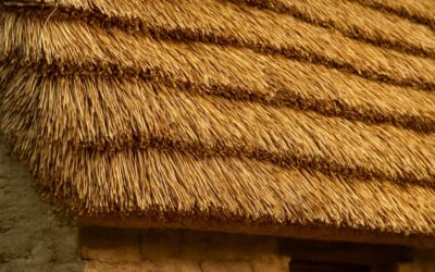 Why roof thatching material is the game-changer for sustainable, stylish roofs