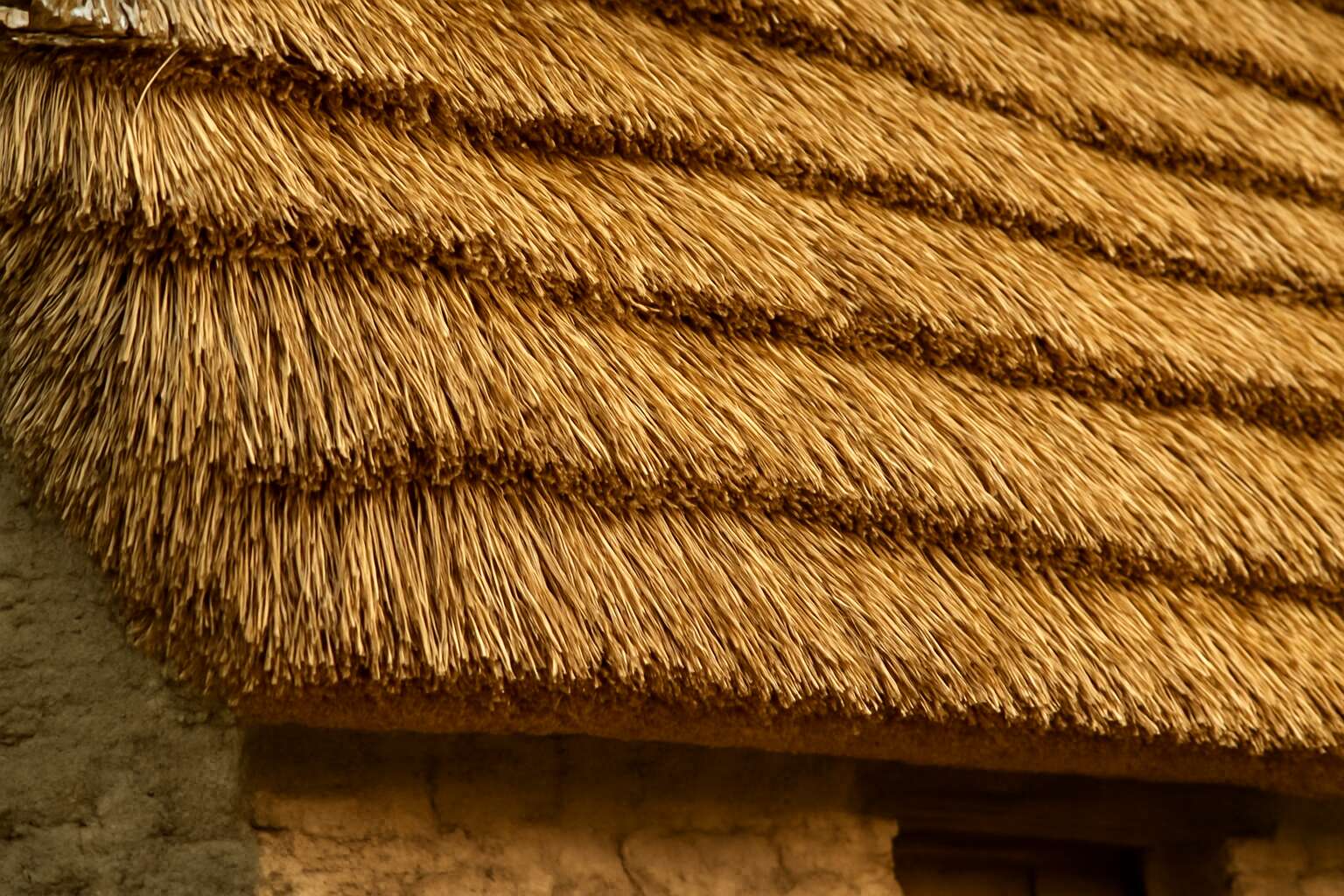Thatching Material Why roof thatching material is the game-changer for sustainable ...