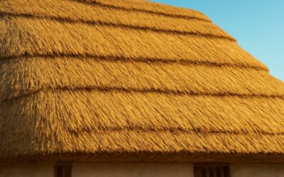 The art of thatching of grass: tips for a durable, stunning lawn